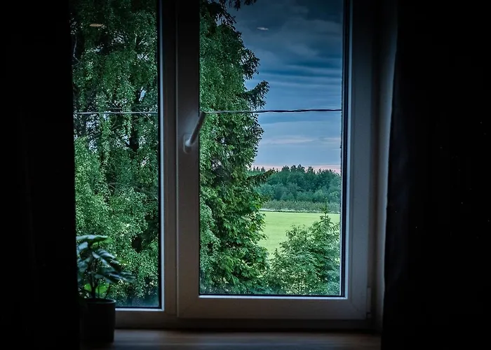 Pinska Paradise Viljandi (Viljandimaa)